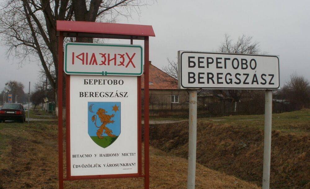 Венгры и поляки претендуют на свой кусок Украины Венгры и поляки претендуют на свой кусок Украины