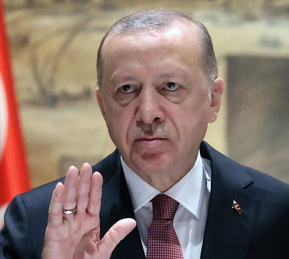 Эрдоган откровенно высказался по поводу политики Запада в отношении РФ