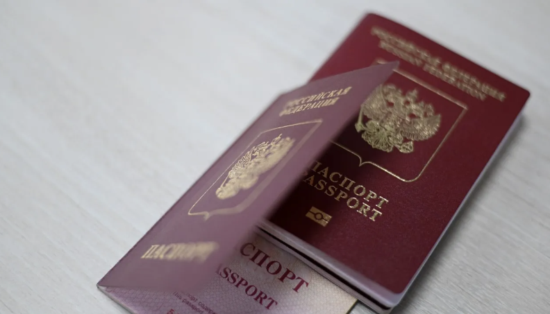 Кого коснутся поправки, разрешающие лишать российского гражданства