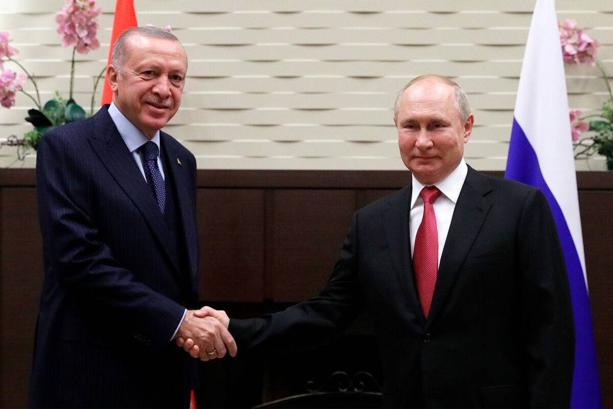 Стали известны подробности разговора Путина с Эрдоганом