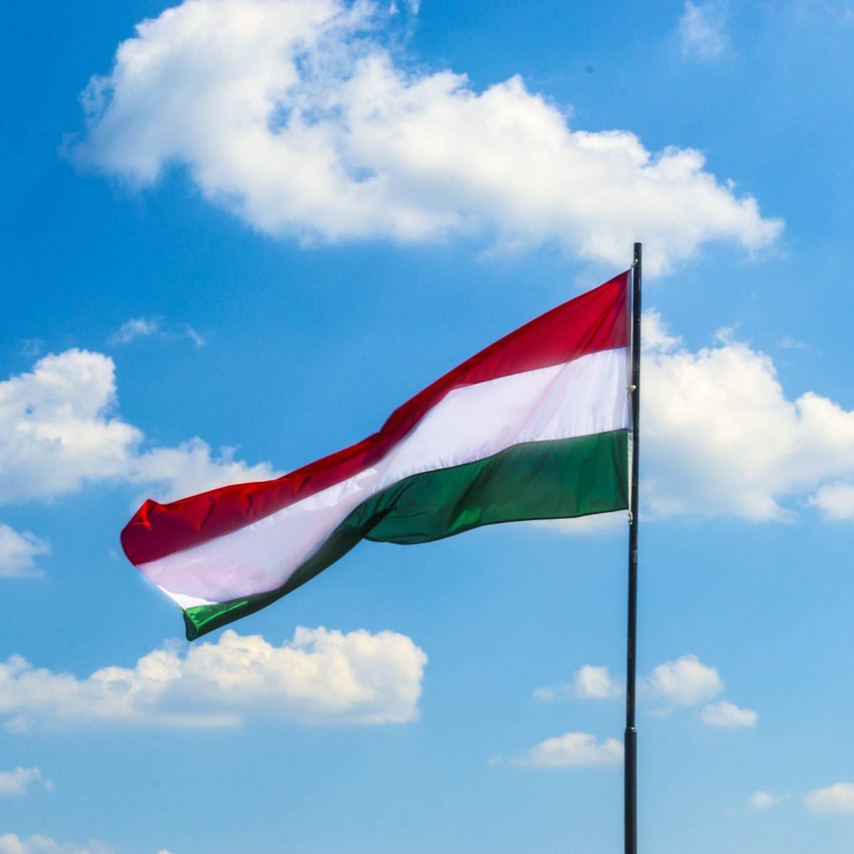 Евросоюз может бросить Венгрию на произвол судьбы из-за Украины