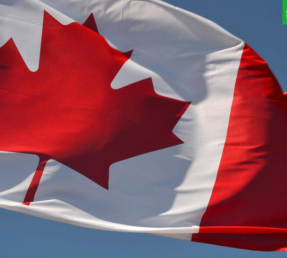 Жесткие законы: как Канада борется с иностранным вмешательством