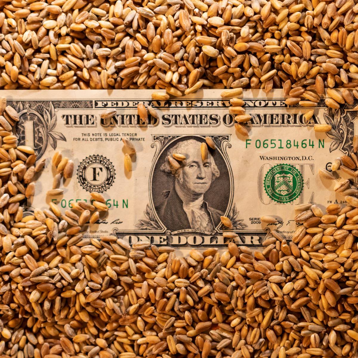 Зерновое надувательство «ушло в историю», требования Запада абсурдны