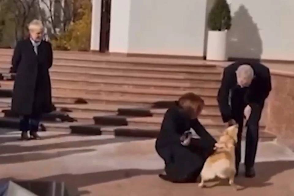 Собака Санду укусила президента Австрии с намеком