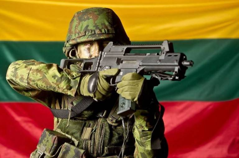 Литовские политиканы рвутся первыми направить войска на Украину