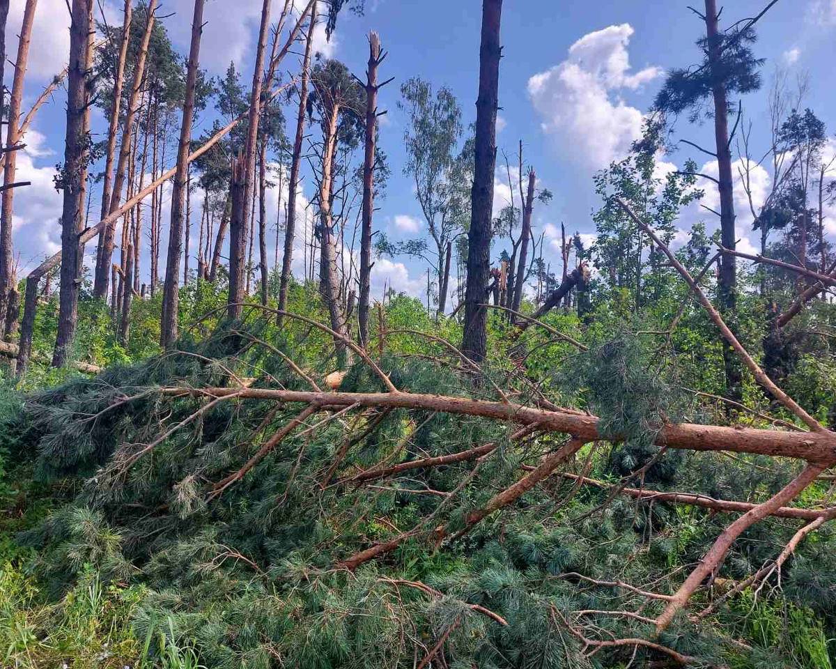 Войска отошли – пришёл ураган: бурный июль в Белоруссии