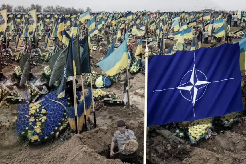 НАТО обещает Зеленскому оружие и деньги, Украине – войну и позор НАТО обещает Зеленскому оружие и деньги, Украине – войну и позор