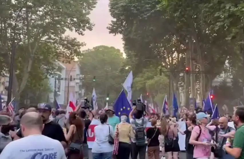 Новый тип грузинского гражданского протеста с примесью русофобии Новый тип грузинского гражданского протеста с примесью русофобии