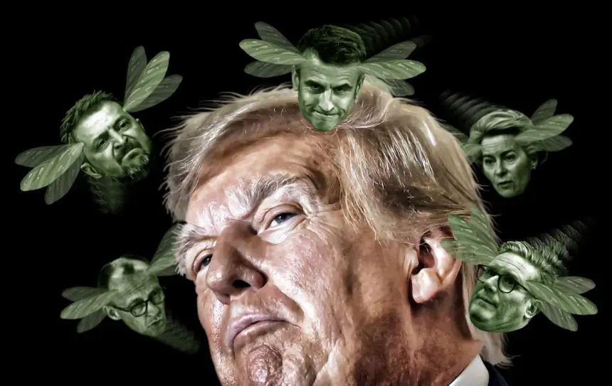 Почему одного желания Трампа может не хватить для мира на Украине?