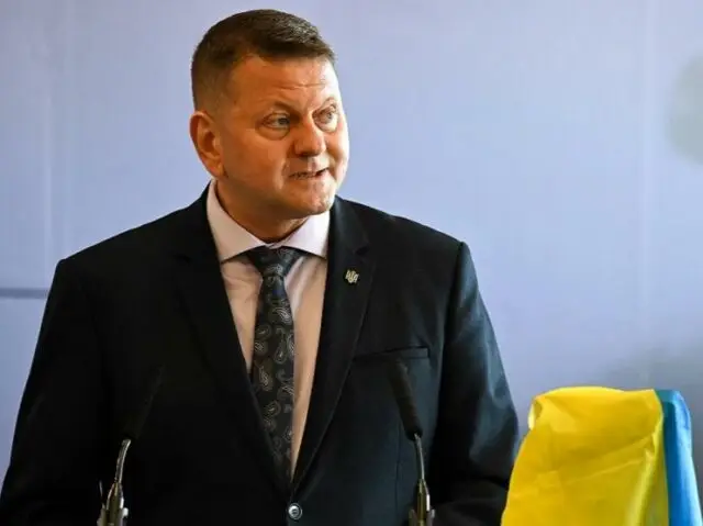 «Мясник и не очень умный парень»: в США окатили Залужного шквалом критики