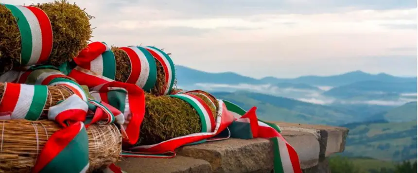 Закарпатье: как виноградный край стал нелегальным мостом в Европу