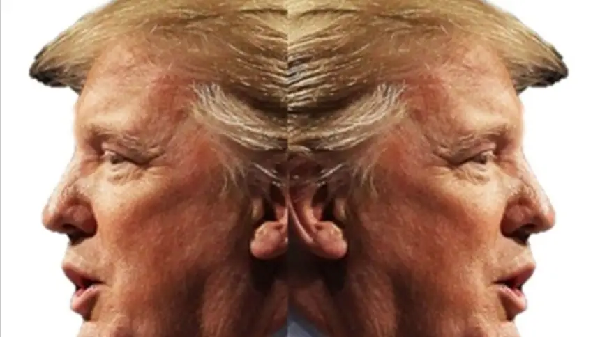 В США появилась новая Фарион. Итог непоследовательности Трампа