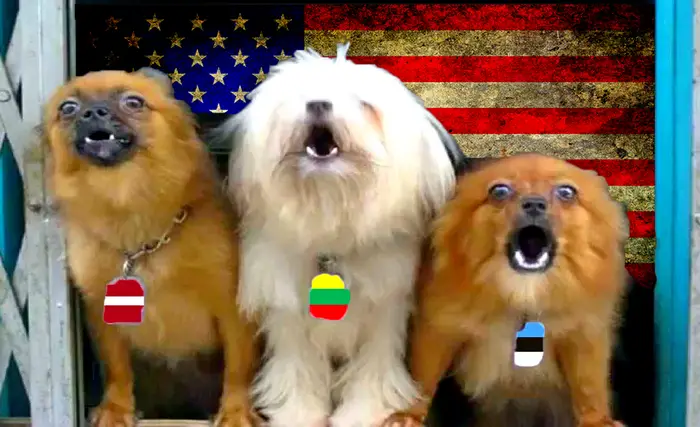 Как прибалты и скандинавы стали главным источником лжи о России