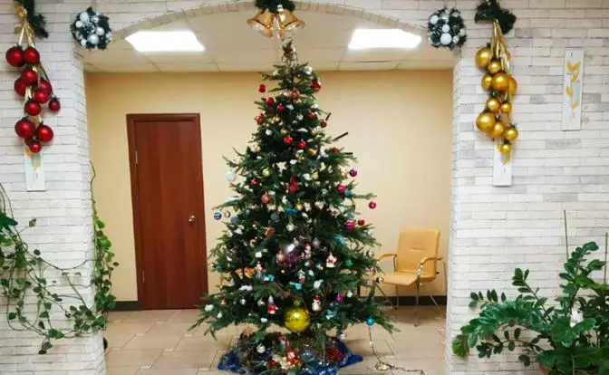 Враги новогодних елок: наших пример Европы ничему не учит