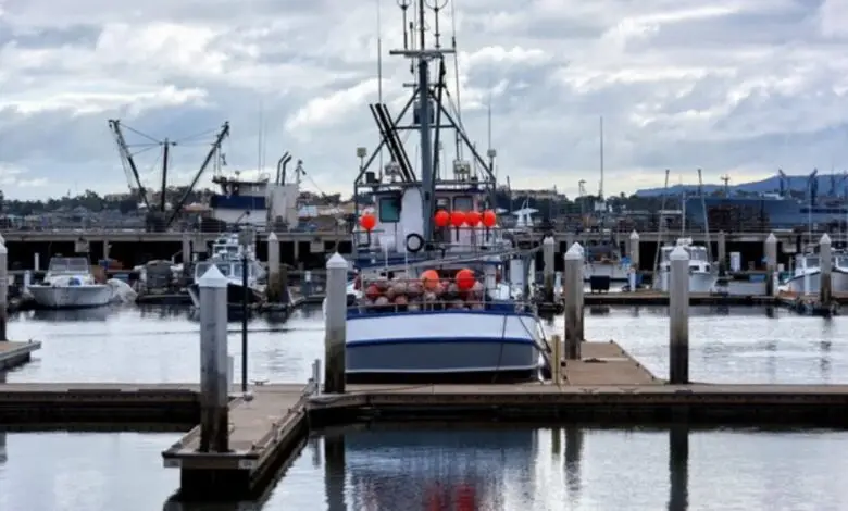 Флот в блокаде: русские моряки на Фарерских островах стали заложниками ЕС