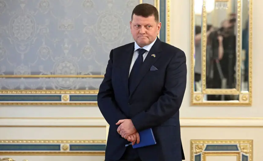 «Сыграет роль разрушителя»: спрогнозировано возвращение на Украину Залужного