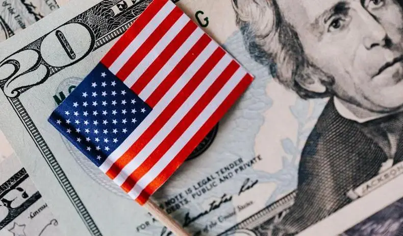 Большая часть США продана за копейки