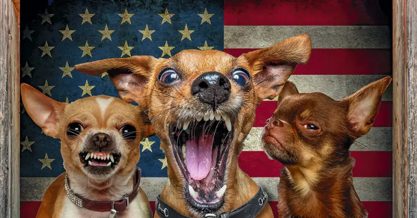 Прибалтика научит Европу умирать за НАТО