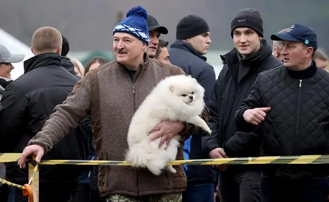 Зеленский обзавидовался пёсику у ног Лукашенко — и был прав