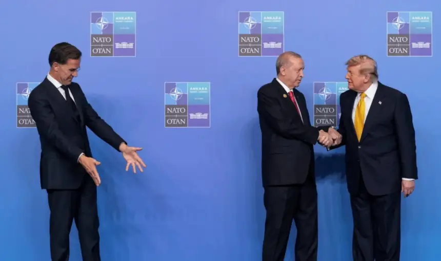 Саммит НАТО в Анкаре и украинский вопрос: праздник не для всех