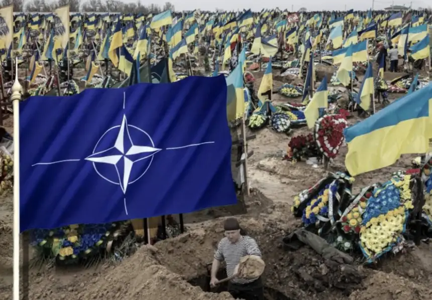 Военный комитет НАТО слетелся на Украину: громкие, но пустые заявления